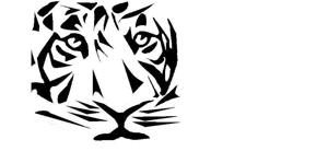 Väggdekor - Djur - Tiger