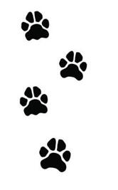 24 tassavtryck fotspår från hund