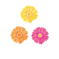 25 st blommor Wallie