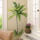 Stor Palm Wallie - bild 1