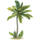 Stor Palm Wallie - bild 2