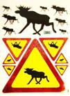 Älg Bilstickers