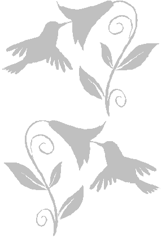 Fönster- spegeldekor Kolibri