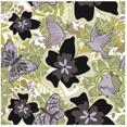 Blommor & fjärilar Svart/grå Kakeldekor