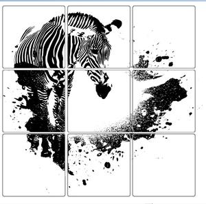Zebra 9-delar Kakeldekor 10x10/15x15