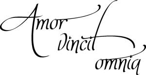 Väggtext - Miniatyr-väggord - Amor vincit omnia