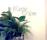 Carpe diem - bild 2