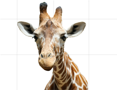 Giraff Kakeldekor