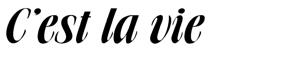 Väggtext - Franska - C'est la vie
