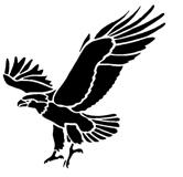 Rovfågel
