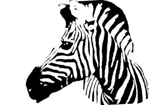 Väggdekor - Djur - Design Zebra