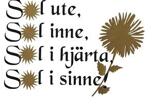 Sol ute, Sol inne...