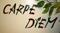 Carpe Diem Deluxe - bild 1