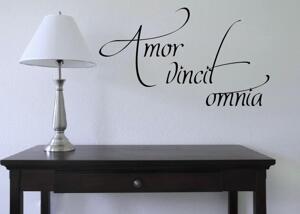 Väggtext - Latin - Amor vincit omnia