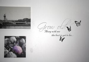Väggtext - Engelska - Grow old along with me, the best is yet to be...