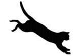 Hoppande katt