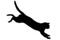 Hoppande katt - bild 1